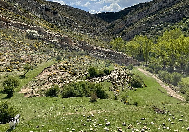 Pastor por un día: la iniciativa que ayuda a conocer mejor el campo