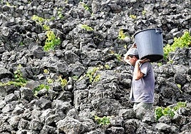 El cambio climático entra en el convenio colectivo