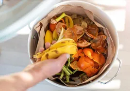 Tecnología contra el despilfarro alimentario: la IA mira dentro del cubo de basura