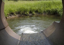 Cómo recuperar un río contaminado