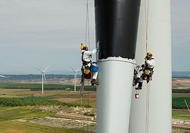 El trabajo del futuro será verde y digital