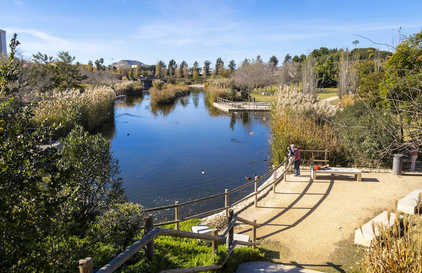 Parque inundable La Marjal, en Alicante, una infraestructura hídrica pionera que proteje a la ciudad de las lluvias torrenciales.