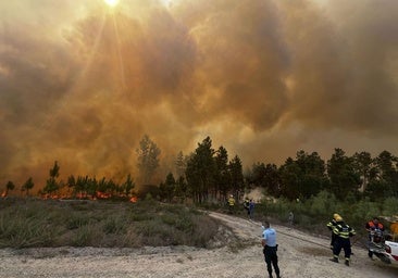 Una nariz con inteligencia artificial es capaz de detectar incendios forestales antes que nadie