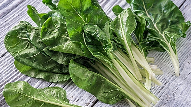 La naturaleza es sabia: por qué tienes que comer albaricoques, sandías y melón desde ya