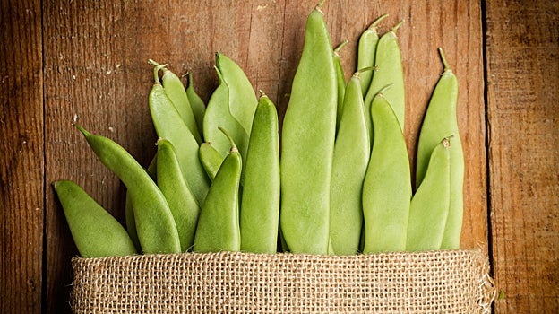 La naturaleza es sabia: por qué tienes que comer albaricoques, sandías y melón desde ya