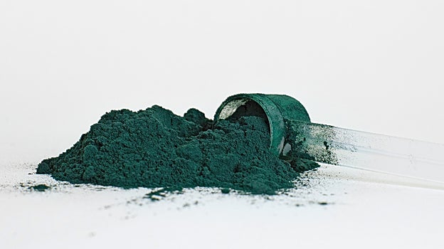 Algas comestibles: tienen beneficios pero algunas personas no deberían comerlas y te contamos por qué