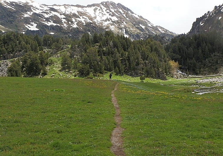 ¿Verano en la montaña? Qué debes saber para que tengas ganas de repetir