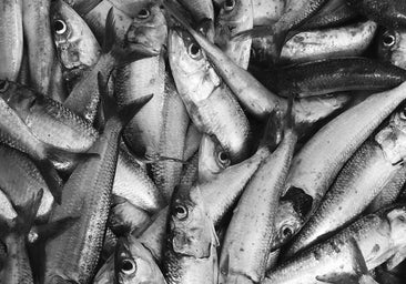Omega 3 en verano: los mejores pescaditos saludables que puedes comer en la playa