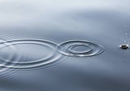 Cómo asumir la responsabilidad del cambio y dejar de engordar las tragedias