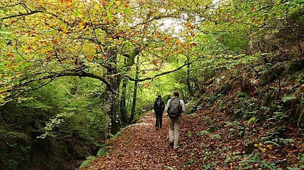 Paseo en la naturaleza.