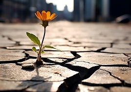 Cómo recomponerse ante la adversidad: tres meditaciones que sirven de guía