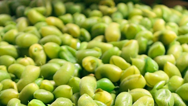 La soja y sus derivados son ricos en vitamina K.