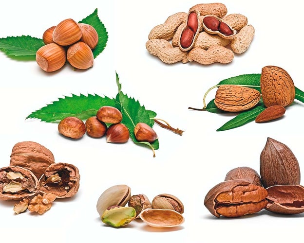 Frutos secos.