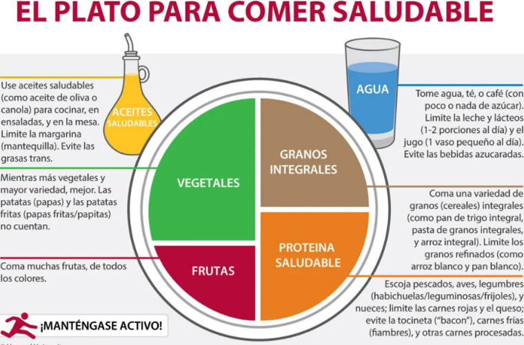 Composición del plato para comer saludable según Harvard