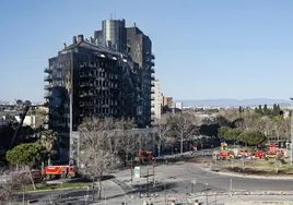Psicólogos, sobre el incendio de Valencia: «Todos pasarán un duelo, pero no en todos los casos será patológico»