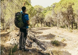 Camino de Santiago: todo lo que debes saber si lo vas a hacer este año
