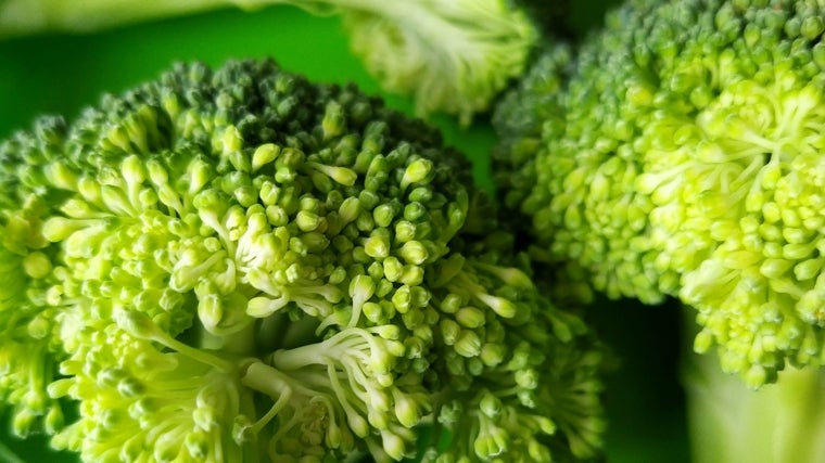 Brócoli.