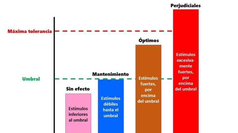 Estímulos insuficientes, neutros, óptimos y perjudiciales según el umbral de esfuerzo