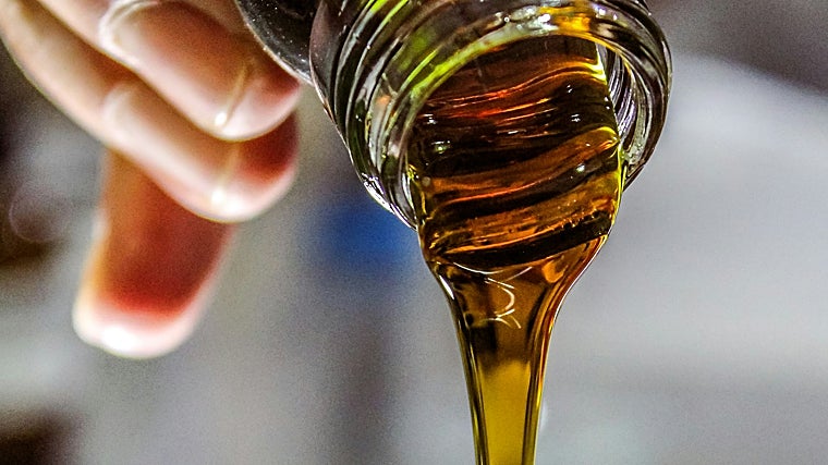 El aceite de oliva virgen extra le da un plus de sabor al salmorejo.