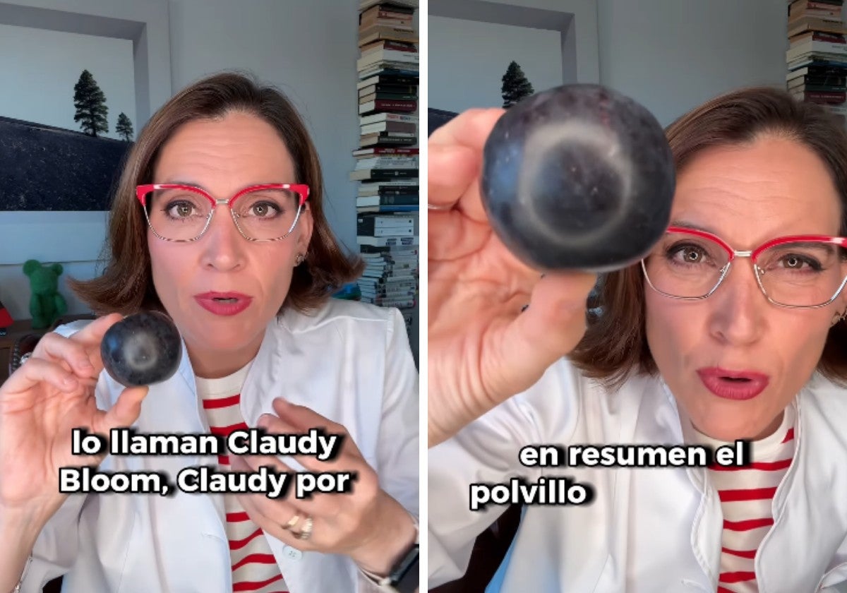 Boticaria García explica la importancia de que las ciruelas tengan el polvillo blanco que las recubre: «No es suciedad»