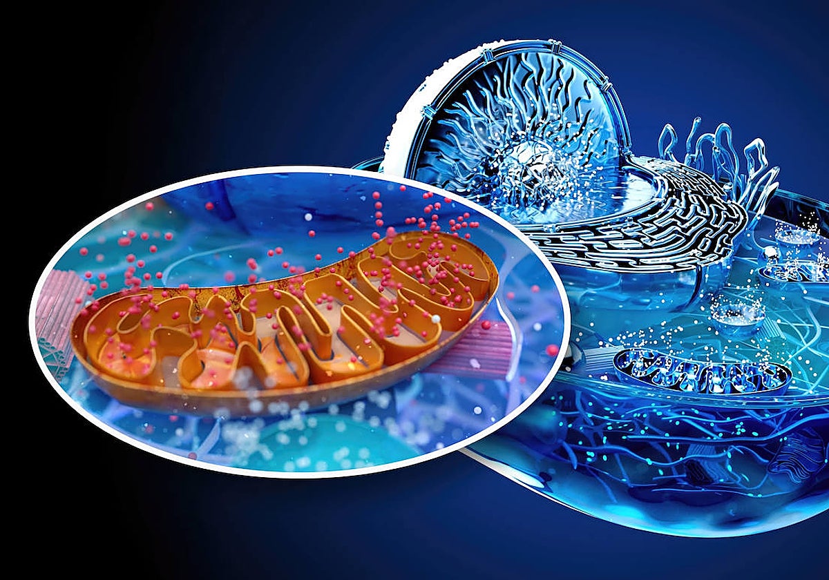 ¿Qué es el trifosfato de adenosina?