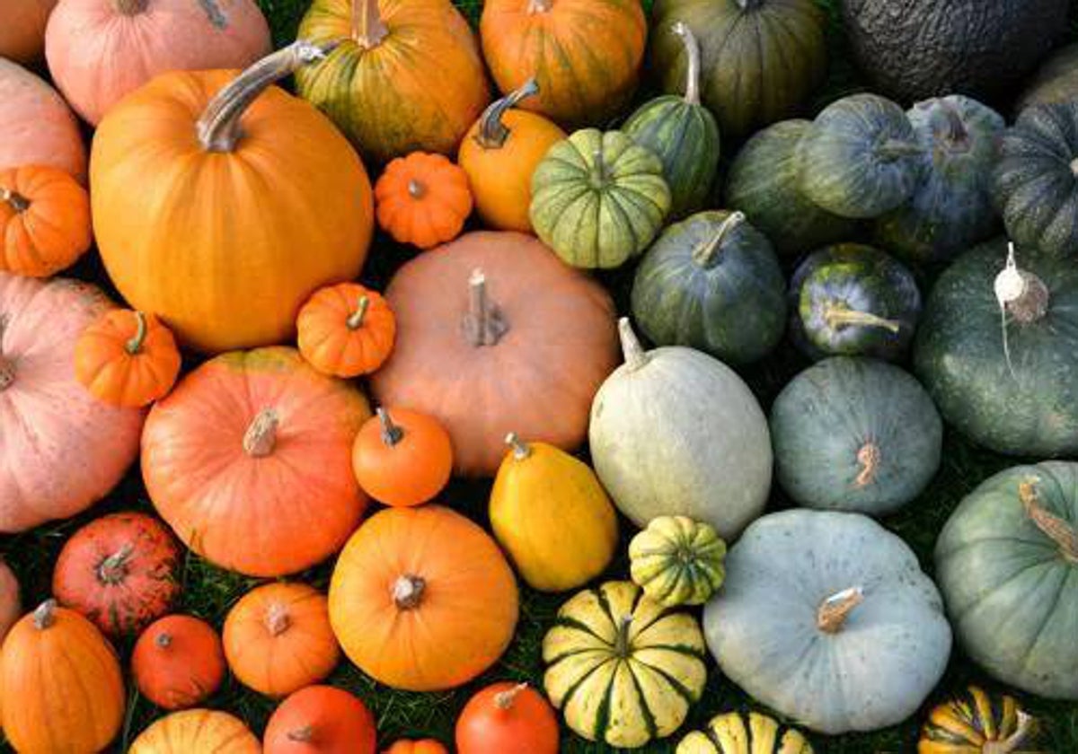 Calabaza, uno de los alimentos del otoño.