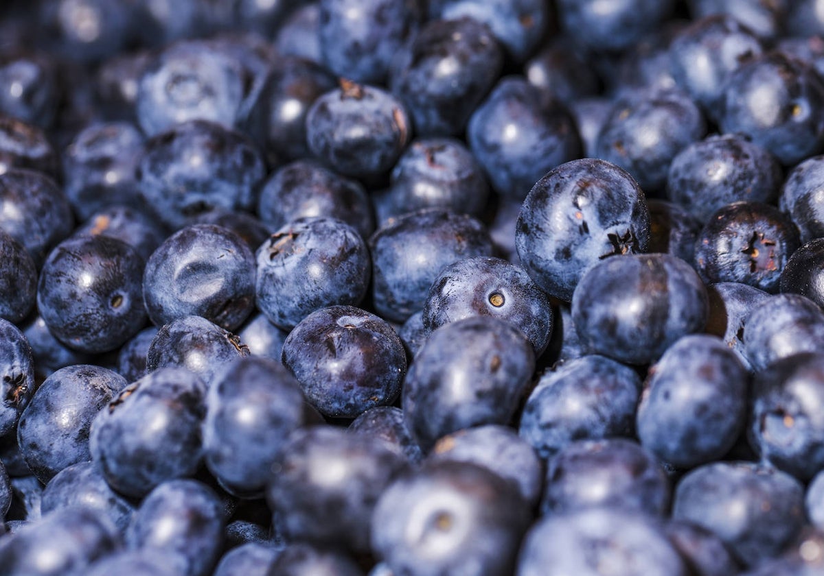 Los alimentos que mejoran tu memoria.