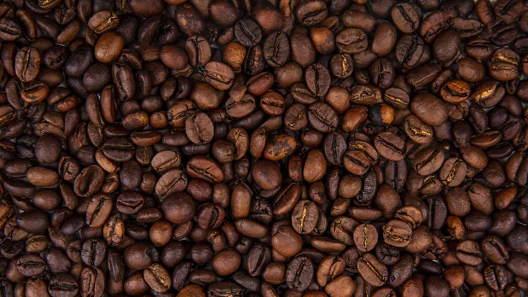 Coffee beans.