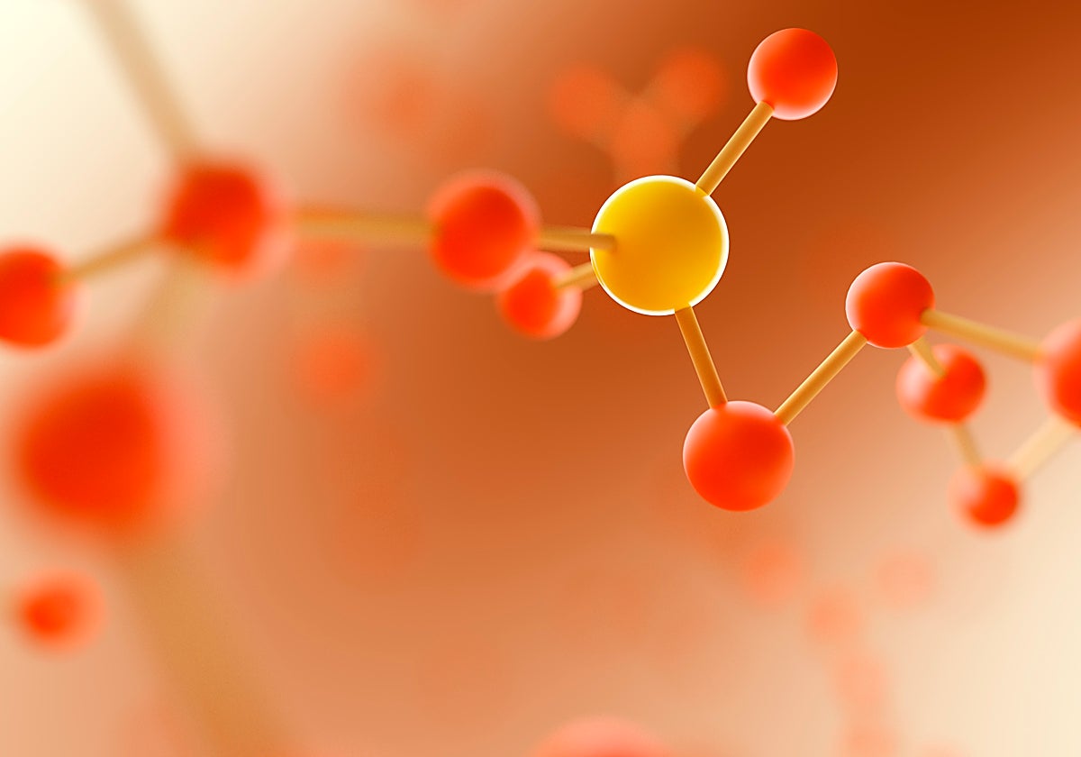 El papel fundamental de las «cuasihormonas»