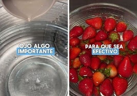 Una ingeniera en alimentos explica si es bueno limpiar las frutas y las verduras con cloro: «Para una buena desinfección...»