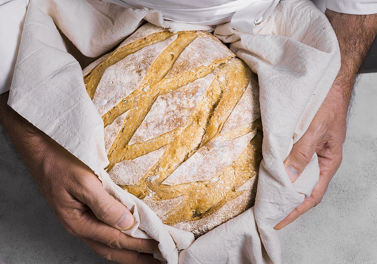 ¿Es bueno comer pan todos los días?