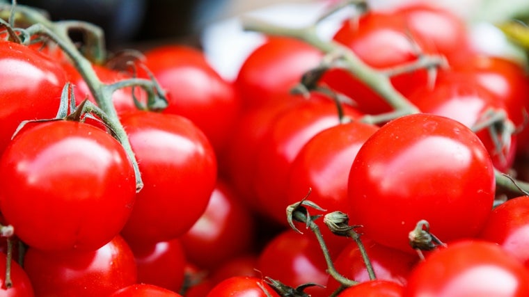 Los tomates, pimientos, sandía... son antioxidantes.