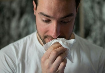 Todo lo que reduce los síntomas de alergia primaveral.