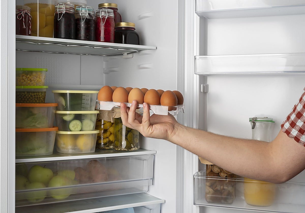 Es importante colocar bien los alimentos en la nevera.