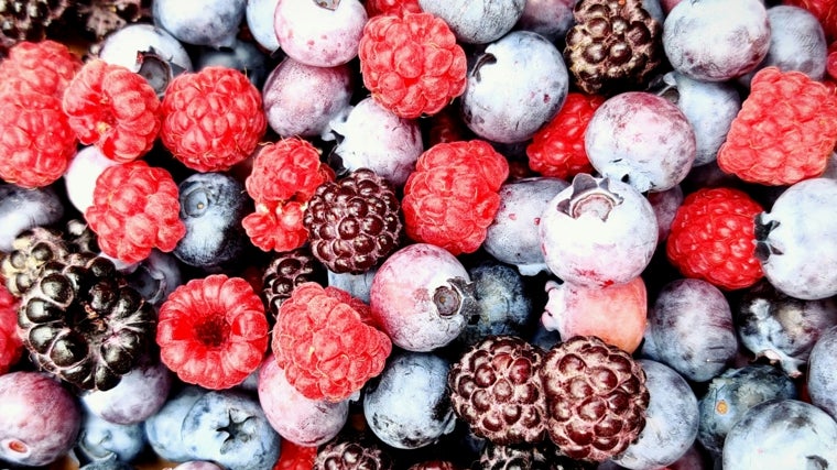Alimentos ricos en antioxidantes y por qué son tan importantes para la salud