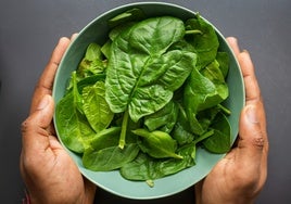 Antinutrientes, lo que quizá no sabes de los vegetales y cómo neutralizar su efecto