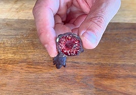 Bombones de frambuesa y chocolate: así se hace el snack frío perfecto para el verano