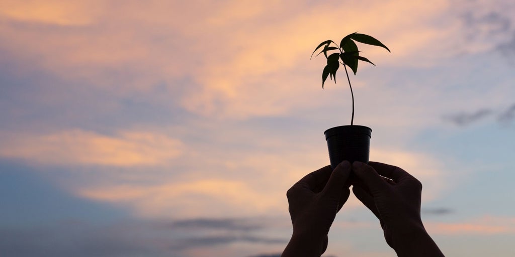 La esperanza, la emoción que despeja el camino hacia la parte positiva de la vida
