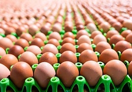 Beneficios del huevo y sus riesgos: «No se debe cascar en el recipiente en el que se va a batir o cocinar»