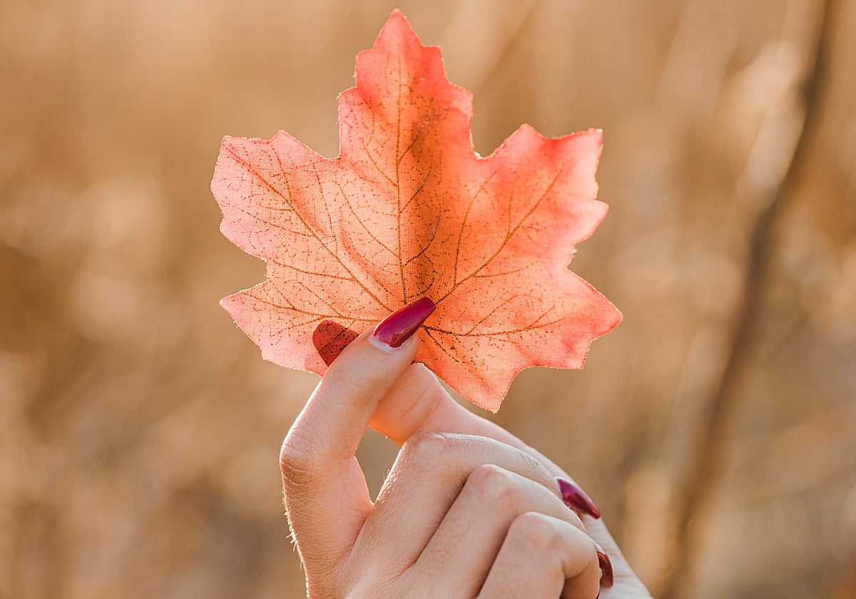 Meditaciones para acoger el otoño.