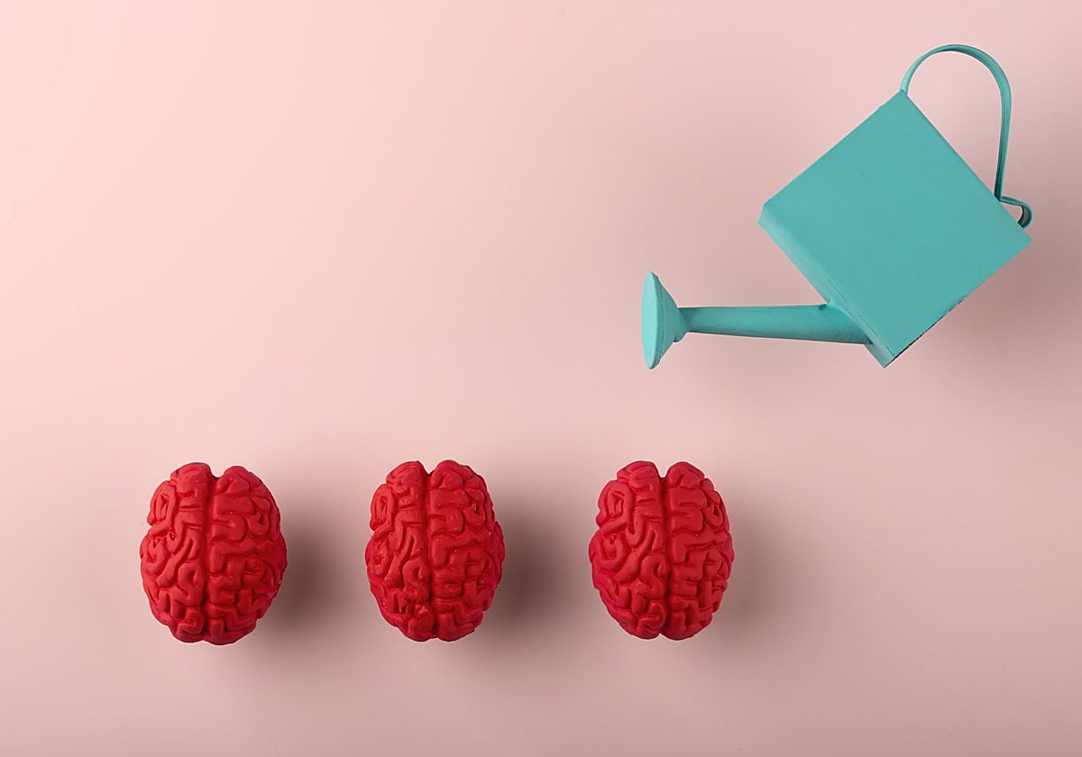 Tener objetivos claros ayuda a potenciar el cerebro.