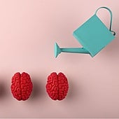 Multiplicar las capacidades del cerebro es posible con la «triada del éxito»