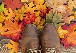 El psicólogo Tomás Navarro, sobre el bajón otoñal: «Escucha a tu pereza y atiende al mensaje que tiene para ti»