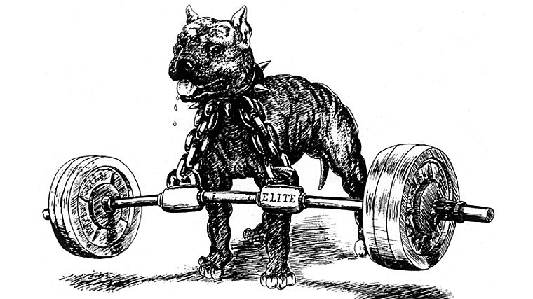 La famosa mascota de Westside Barbell que aparece en todas sus piezas de merchandising