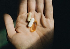 Adaptógenos: ¿moda o herramienta con base científica?