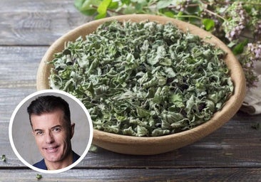 Manuel Viso, sobre el orégano: «Lo usas para el sabor pero estás aportando beneficios para tu salud»
