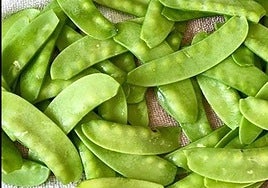 Tirabeques: propiedades, beneficios para la salud y cómo cocinarlos