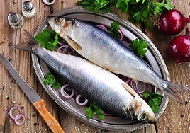 Arenque, el pez humilde que cambió la historia de la alimentación