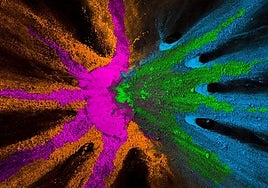 Belén Colomina, psicóloga: «El desarrollo personal florece cuando convertimos la envidia en brújula»