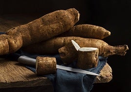 Yuca, el tubérculo energético que conquista las cocinas del mundo